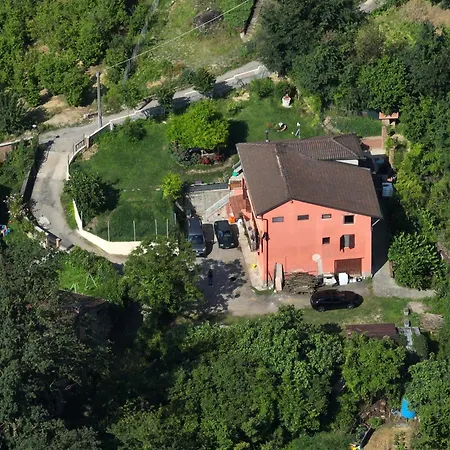 Dog And Friend * Rocchetta Tanaro
