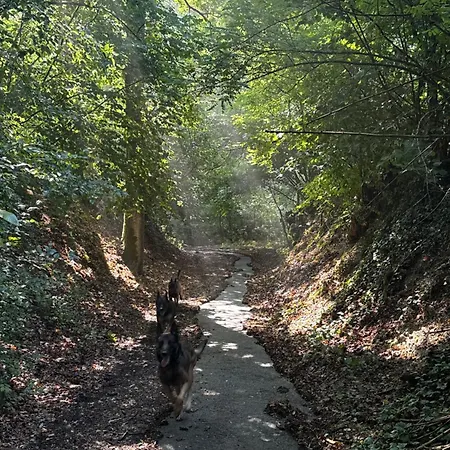 Frühstückspension Dog&friend Rocchetta Tanaro